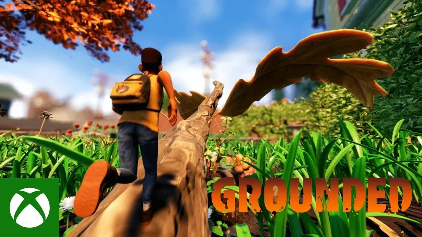 Почему так мало игра. Grounded игра. Grounded игра 2020. Grounded игра на Xbox.