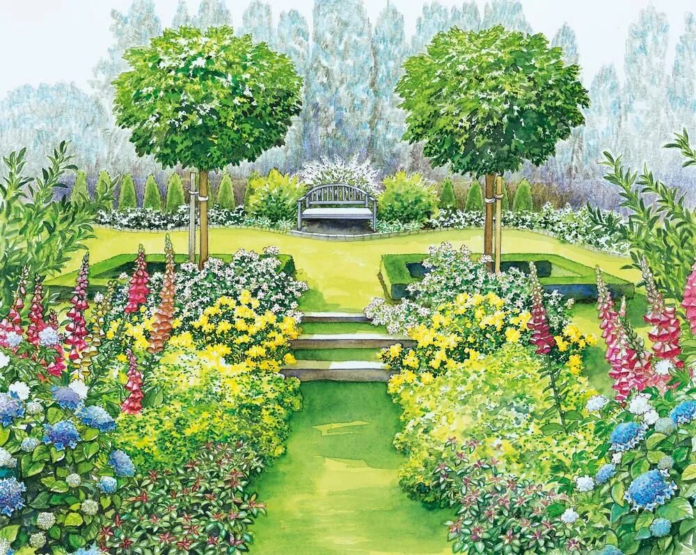 Уильям Кларк botanik Garden. Нарисовать сад. Сад мультяшная. Рисование в саду. Французский парк рисунок