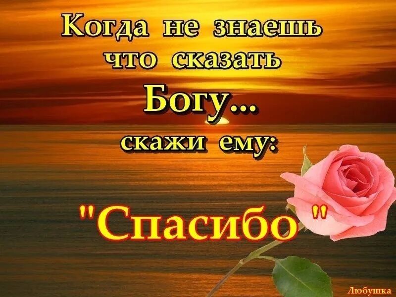 Благодарю тебя за свет. Благодарность Богу. Сказать Богу спасибо. Открытка благодарность Богу. Благодарностью Господу открытки.