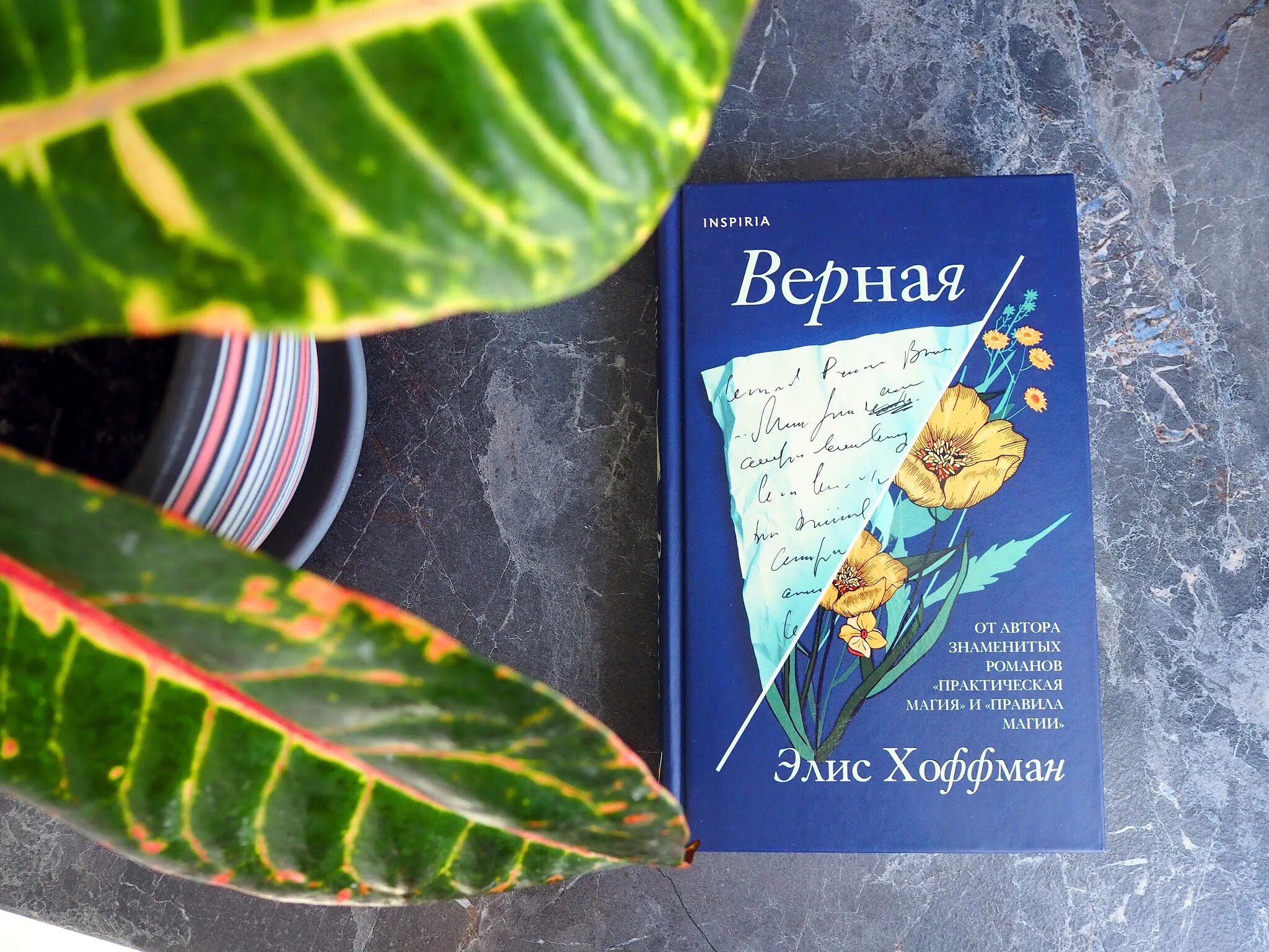 Верные книга отзывы. Элис Хоффман. Элис Хоффман "верная". Элис Хоффман книги. Верная Элис Хоффман книга.