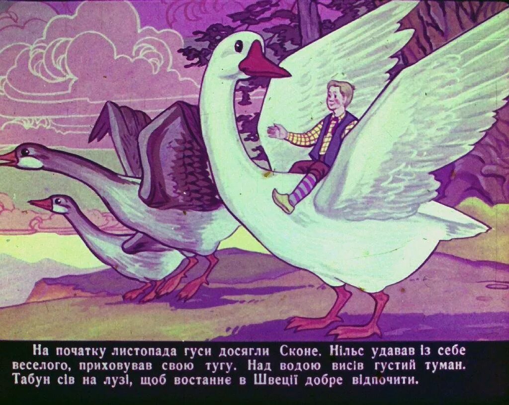 Чудесное путешествие нильса с дикими главы. Чудесное путешествие Нильса с дикими гусями. Приключения Нильса с дикими гусями иллюстрации. Рисунок к сказке чудесное путешествие Нильса с дикими гусями.