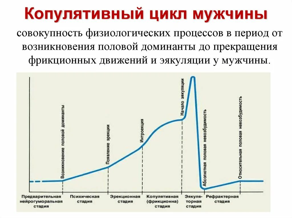 Ощущения при возбуждении