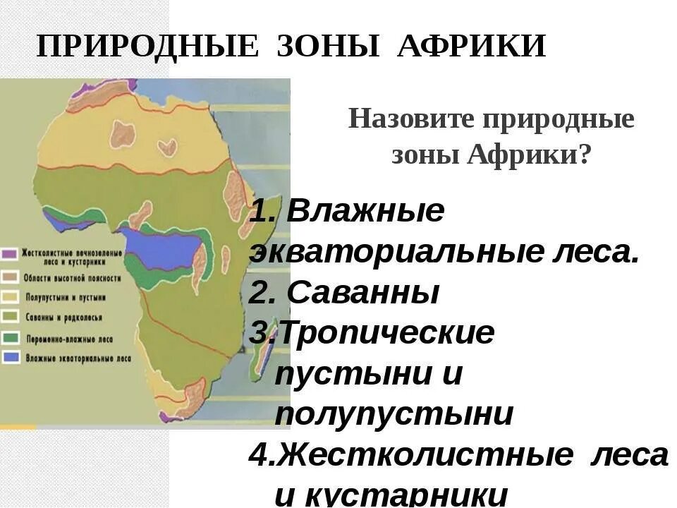 Климатические пояса в которых расположен материк африка. Основные природные зоны материка африка. природные зоны африки саванны таблица. карта природных зон южной африки. природныемзоны африки.
