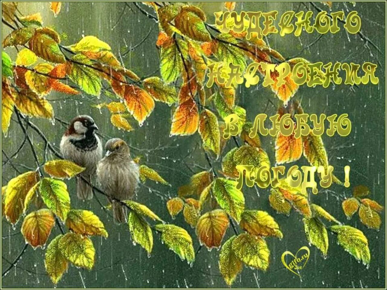 Хорошего настроения в дождливую осень. Хорошего утра в любую погоду. Чудесного настроения в любую погоду. Открытки с добрым утром осенние дождливые. В любую погоду удачи и счастья