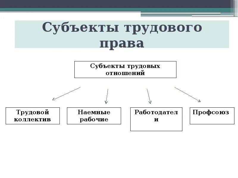 Трудовое право проверочная