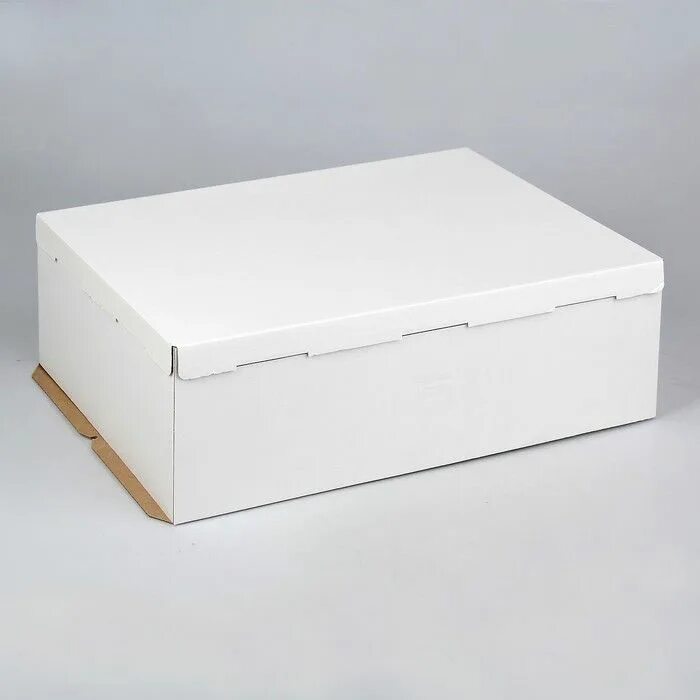Коробка 60 60 60 белая. Короб белый 20х15 LKM. Коробка для торта 300*300*40 бел/бел г04122. Коробка для торта 40х60х21. Короб картонный белый без окна 260*260*300 мм 2630.