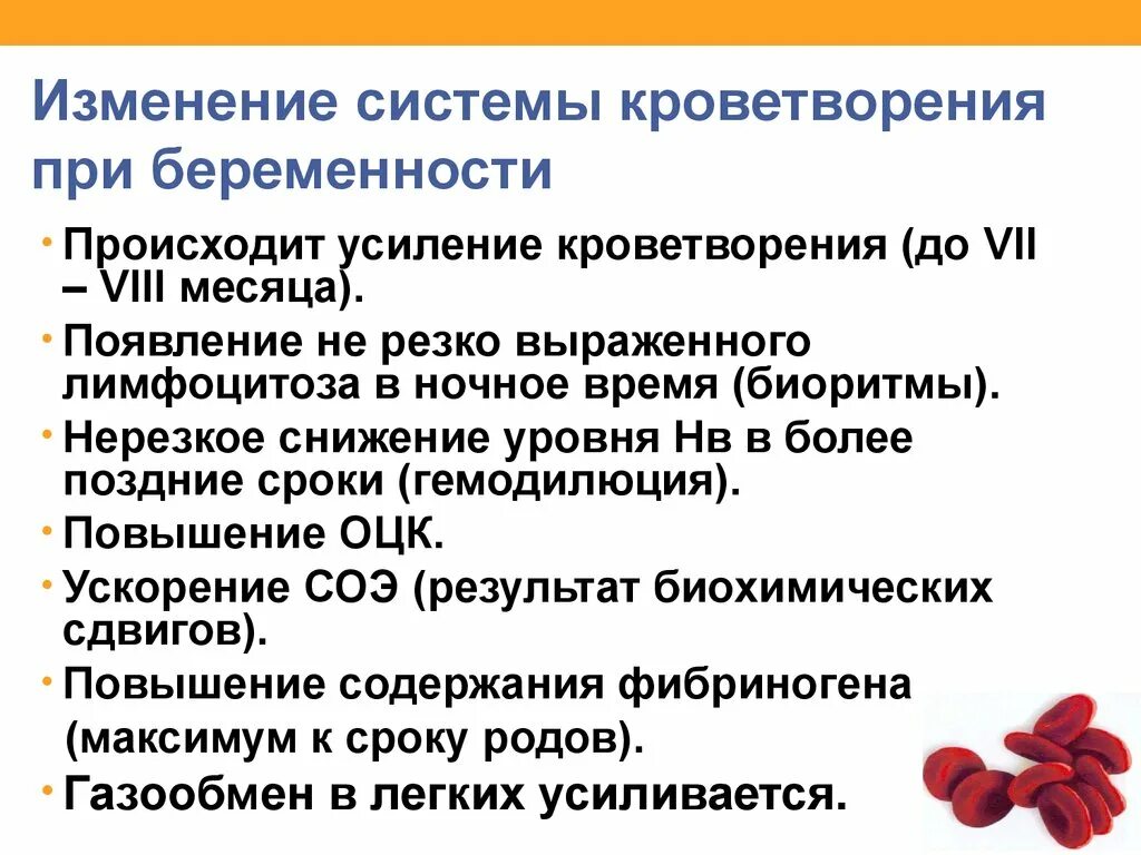 Физиологические изменения беременной