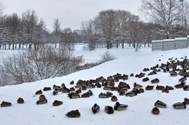 Блог клуба - МИР БЕЗ ГРАНИЦ - Фотоклубы России Фотоклубы.рф Photoclubs.ru - Страница № 19