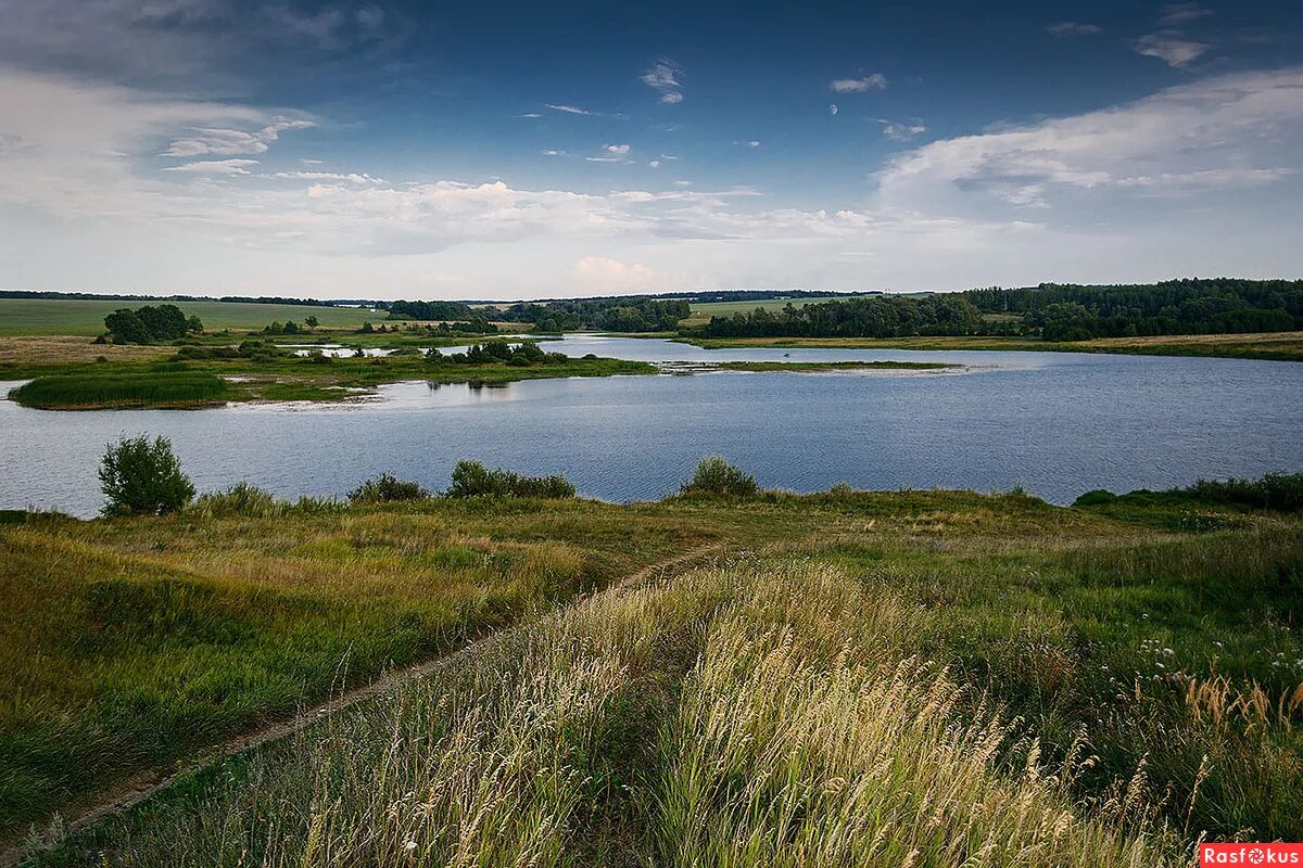 просторы рязанской области. русские просторы рязань. рязань природа красивые места. константиново холмы. рязанские просторы фото.