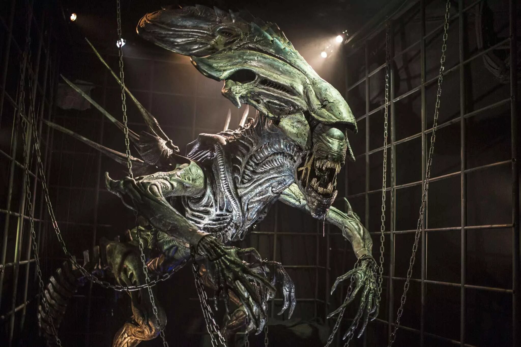фигурка neca scale action figure: alien 40th anniversary – xenomorph. хронология фильмов чужой и прометей. чужой события в каком году. чужой события в каком году. нил бломкамп чужой 5.