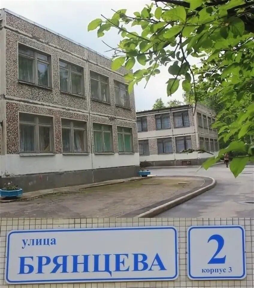 Калининский сад 79. Калининский сад 79
