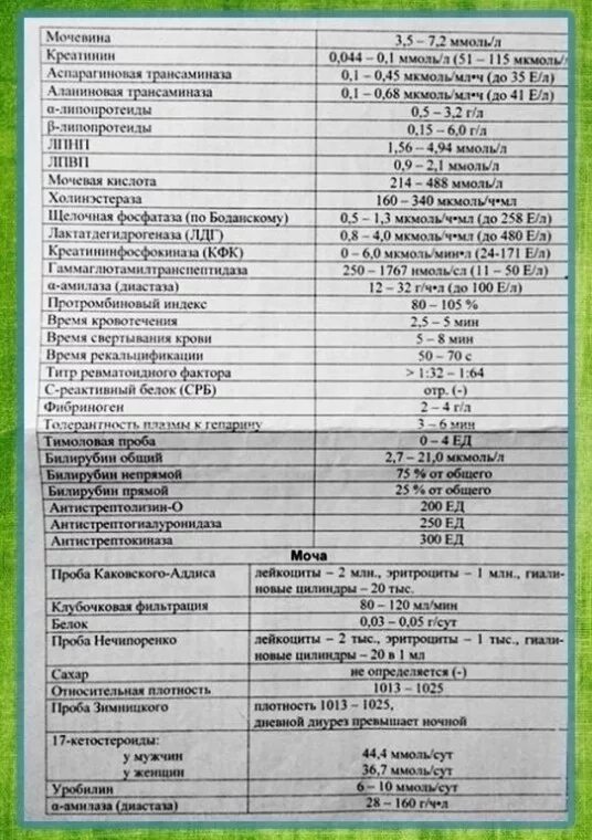 Антистрептолизин норма у женщин по возрасту таблица Анализы асло повышен