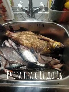 Рязанская рыба