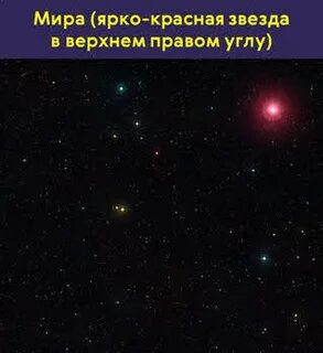 Какие звезды б