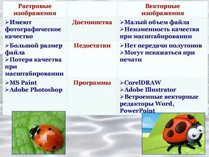 Отличия растровой графики