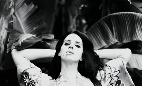 Money lana del