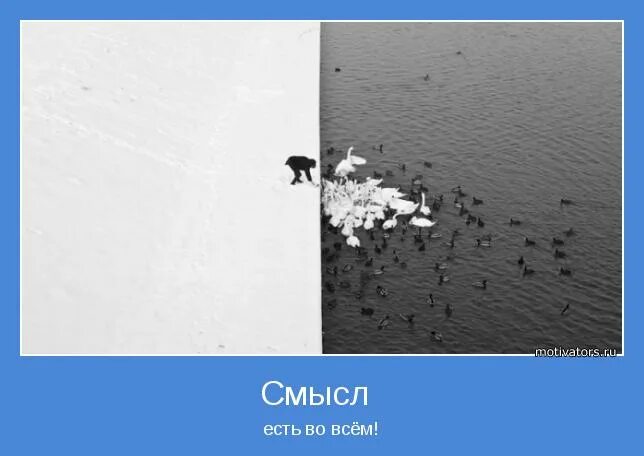 Не вижу смысла дальше. Смысл есть. В чем нет смысла. Во всём есть смысл. Смысл есть во всем.