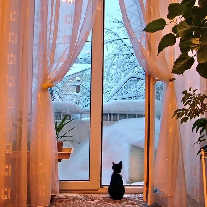 Незадернутых гардин никого не будет дома. Зимнее окно. Красивый зимний вид из окна. У окна. Окно зимой.