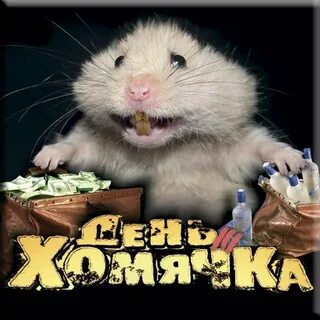 Комбо дня хомяк 12 июля