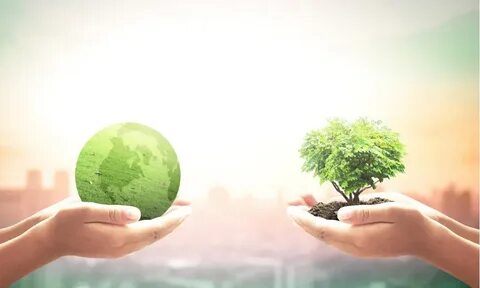 Environment spend