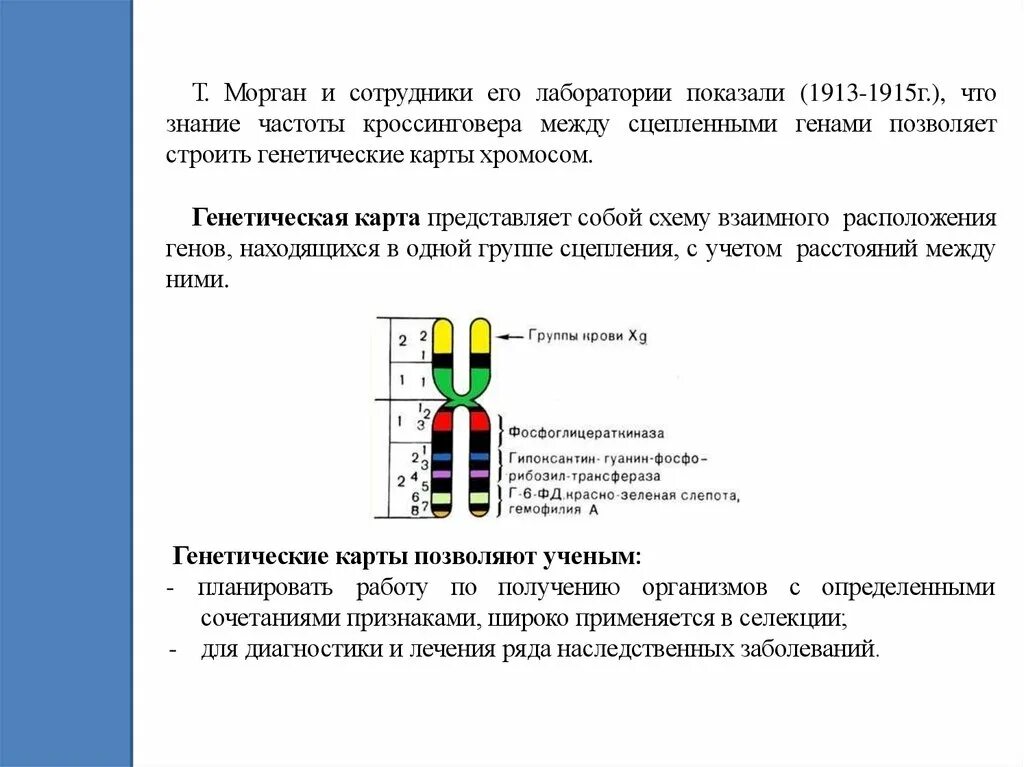 Генетическая карта 1-й хромосомы человека. Генетические карты хромосом кукурузы. Определение расстояния между генами. Генетические карты хромосом кукурузы. Генетическая карта для указанных генов.