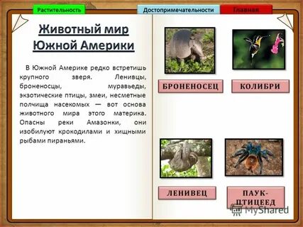 Растения и животные южной америки