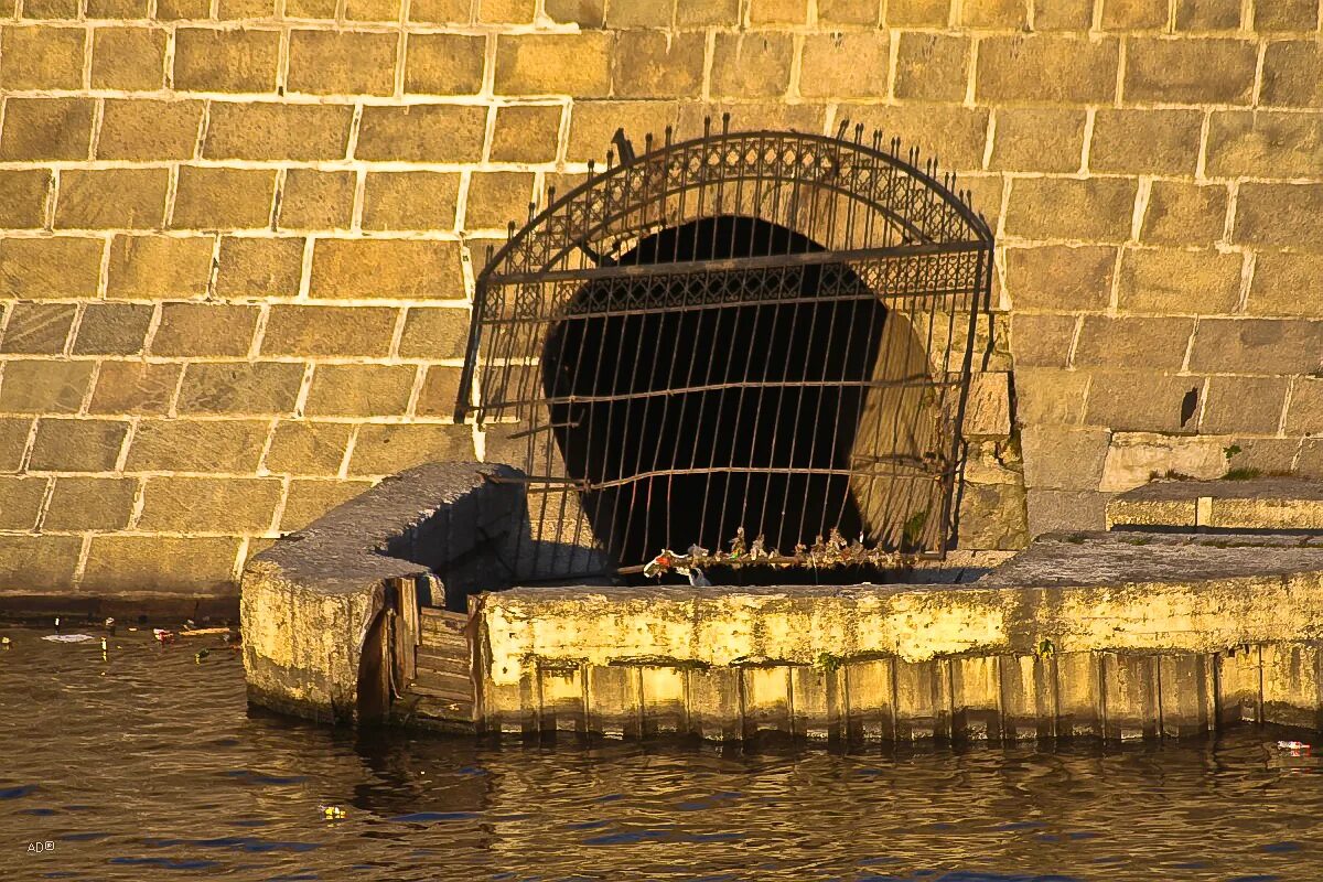 река пресня