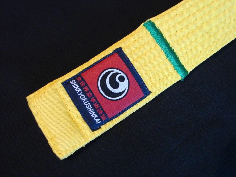 Нашивка на пояс каратэ киокушинкай. Каратэ кёкусинкай красный пояс. Оранжевый пояс с синей полоской. Поиски окушинкай оранжевый. Пояс на 9 кю киокушинкай каратэ.