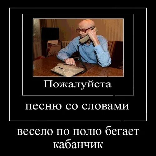 Весело кабанчик ремикс. Бегает по полю весело кабанчик. Весело по полю бегает кабанчик Мем. Бегает по полю весело кабанчик песня. Бегает кабанчик слова.