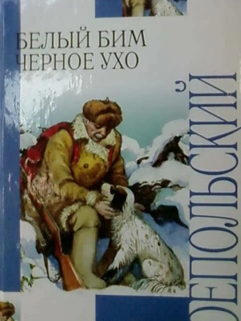 Белый бим черное ухо глава 1. Белый Бим черное ухо книга. Белый Бим черное ухо иллюстрации к книге. Белый Бим черное ухо обложка. Рисунок к книге белый Бим черное ухо.