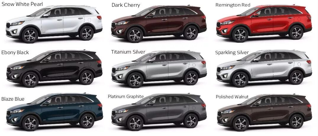 Какой цвет #Sportage нравится больше всего? 2020 Kia Sportage Club - Киа Спортей