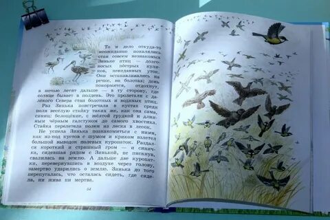 Синичкин календарь читать