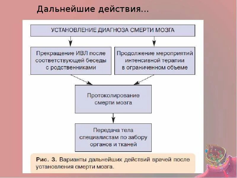 Дальнейшие действия рф. Дальнейшие действия. Определить дальнейшие действия. Дальнейшие действия к решению. Мои дальнейшие действия.