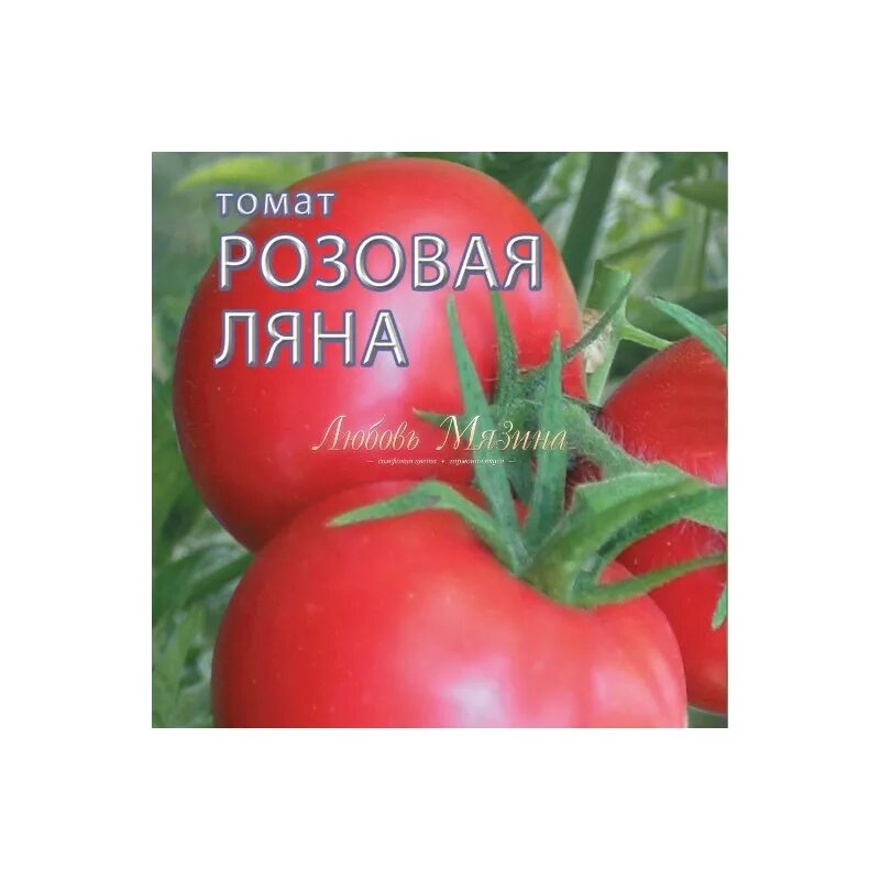 Семена томат розовая Ляна селекционер Мязина л. Семена томат Ляна розовая. Любовь Мязина томаты. Томат Король Сибири Мязина. Розовые низкорослые томаты