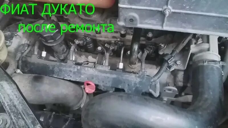 Не заводится фиат. Fiat Ducato 244 заслонка EGR. Двигатель Фиат Дукато 2.3. ЕГР на Фиат Дукато 2.3 дизель. Дополнительный сепаратор 2-3мкм на Фиат Дукато 250.