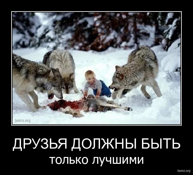 Бывший предлагает быть друзьями. Бывший предлагает быть друзьями. Афоризмы про расстояние и дружбу. Каким должен быть настоящий друг. Демотиватор про друзей прикольные.