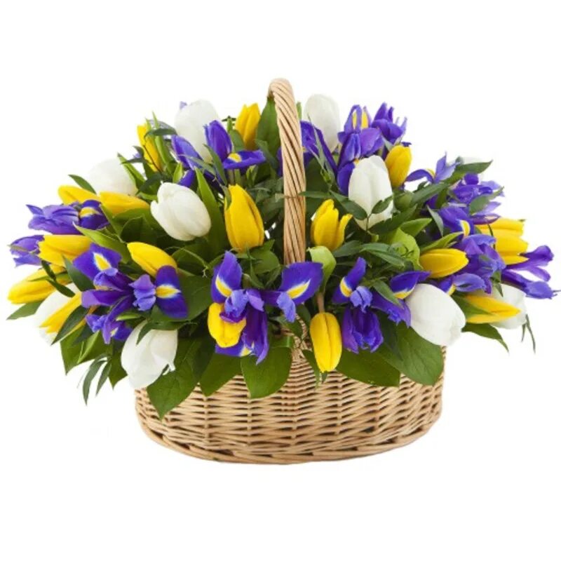 Букет Ирис Нарцисс тюльпан. Весенний букет тюльпаны и ирисы. Тюльпаны и и ирисы букет 9шт. Корзина цветов.