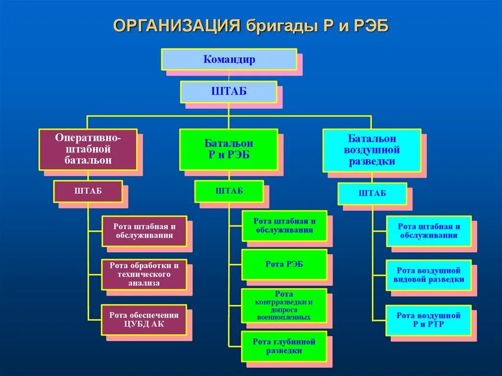 Организации оперативного состава. Организационная структура роты. Структура радиоэлектронной разведки. Организационная структура Вооруженных сил США.