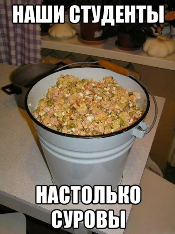Смешные студенческие. Студенческие приколы. шутки про оливье. приколы про студентов. ведро оливье.
