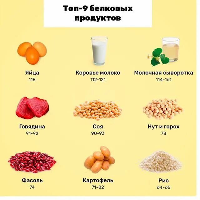 какие продукты содержат белок. выберите все продукты которые богаты белками. растительный белок список продуктов. выберите все продукты которые богаты белками. белки в продуктах питания.