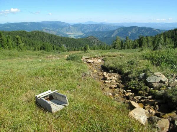 малый бащелак чарышский район алтайский. алтайский край чарышский район село малый бащелак. река бащелак. малый бащелак чарышский район алтайский край. малый бащелак.