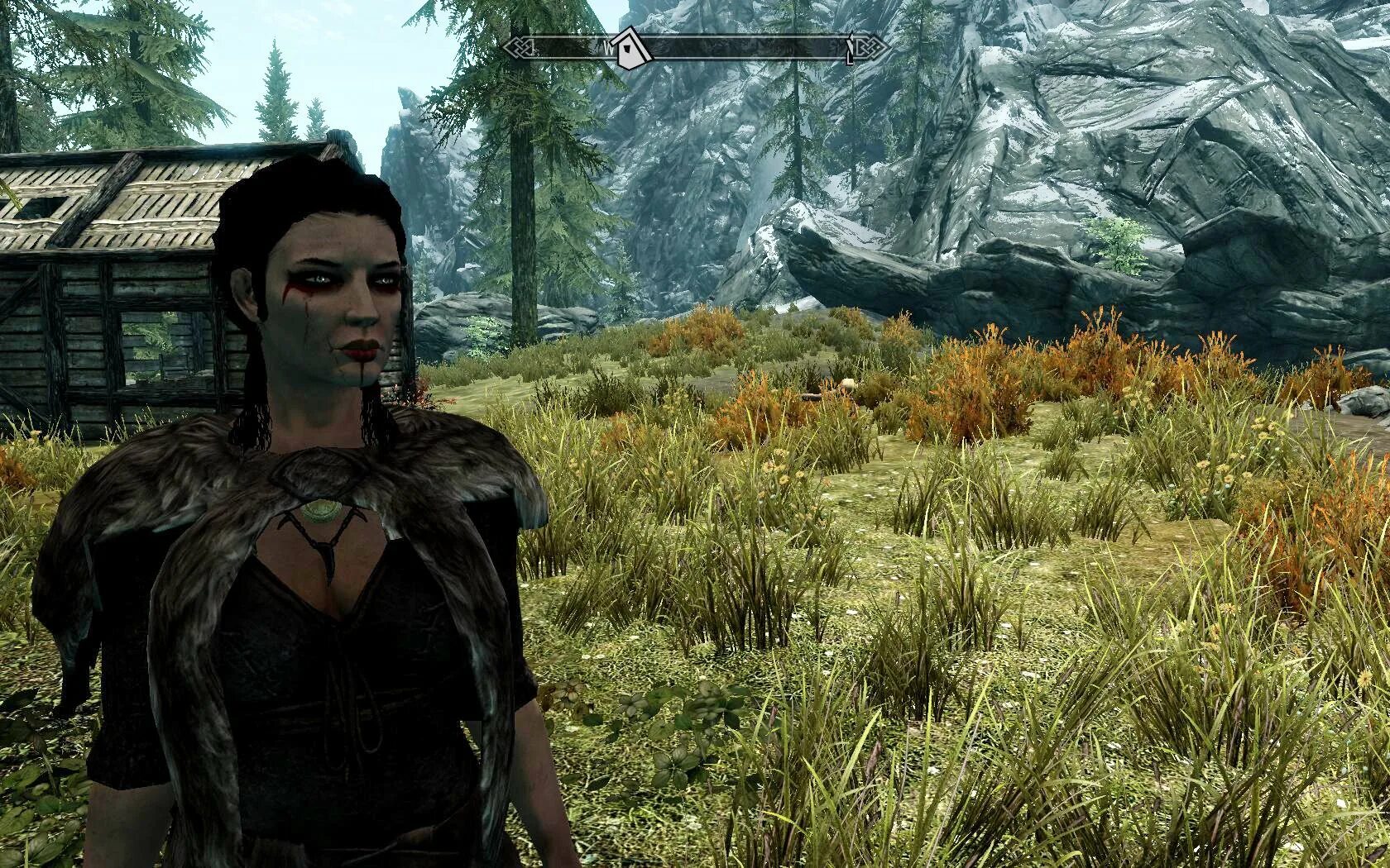 Skyrim последний мод