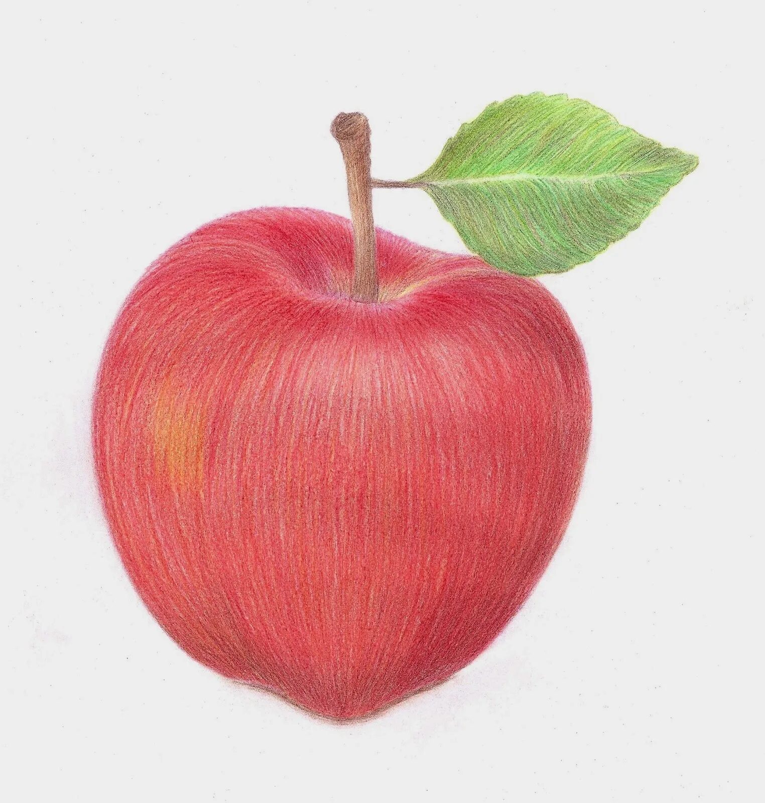 Яблоко нарисованное. Яблоко карандашом. Рисование яблока карандашом. Яблоко рисунок карандашом. Яблоко для срисовки.