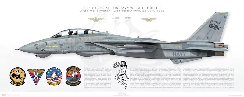 14 ф п л. F-14a Tomcat схема окраски. F-14 A Tomcat шасси. F14 a схема окраски. Чертёж ф 14 Томкэт.