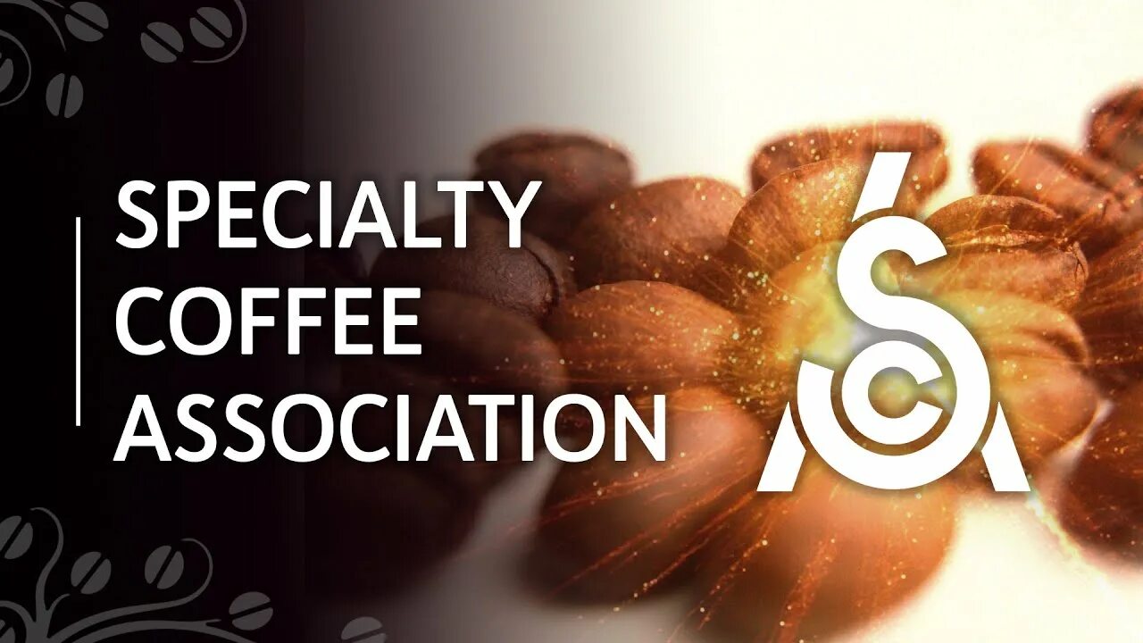 Что такое specialty coffee