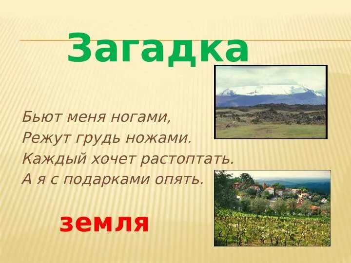 Земля все примет