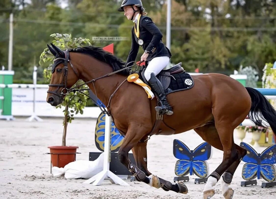 КСК Голден Хорс. КСК Golden Horse, Таганрог.