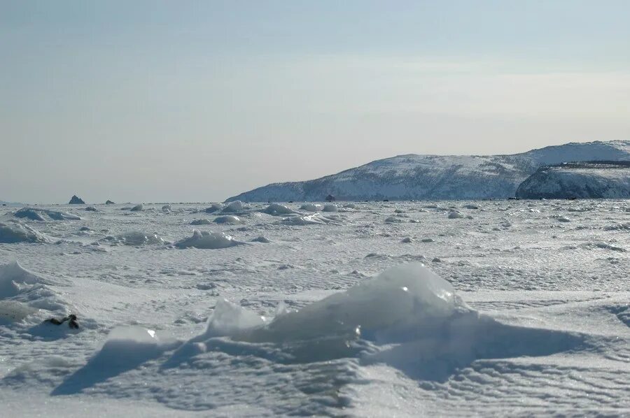 Балтийское море зимой замерзает. Замерзшая Балтика. Баренцево море замерзает. Баренцева моря мёрзнет зимой. Почему не замерзает баренцево