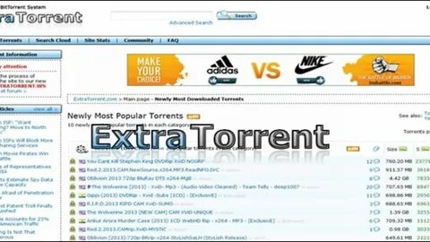Torrents searching