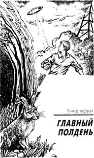 К полудню это